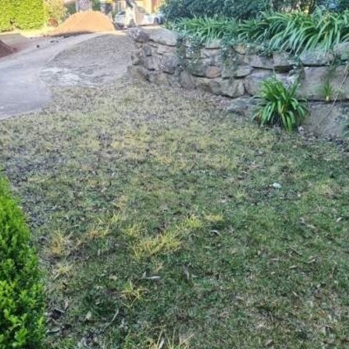 turfing-2a-before