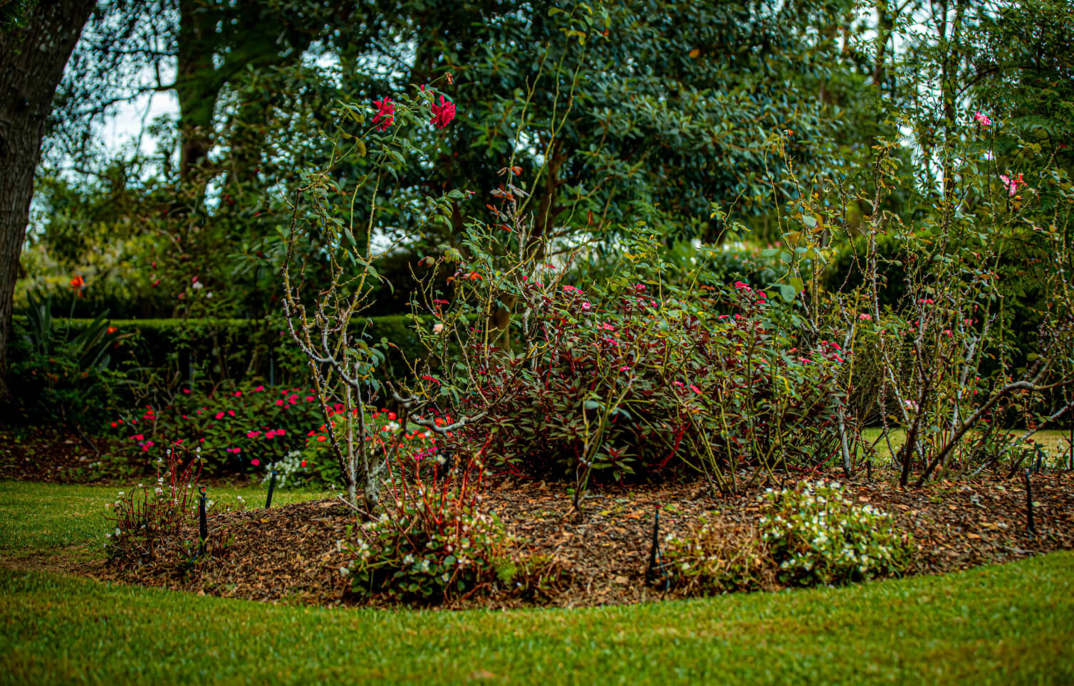 garden cleaning