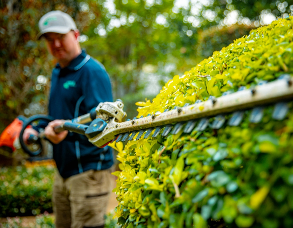 garden under control